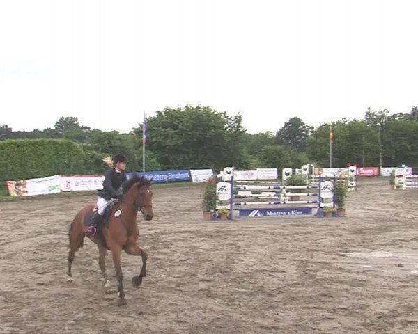 Reitturnier Tangstedt/Pinneberg 2016