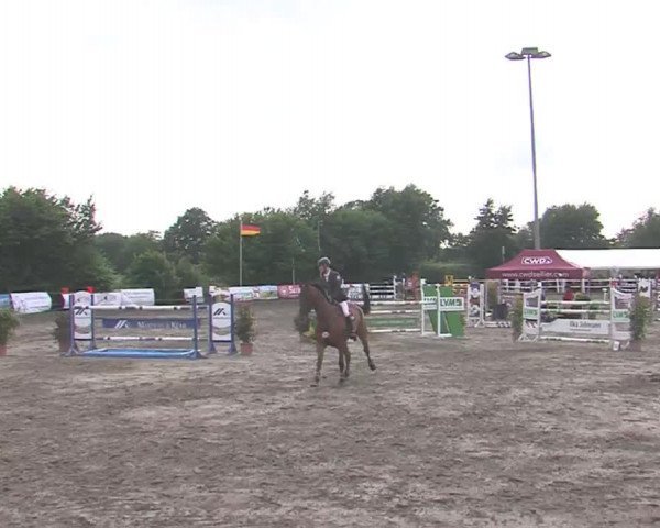 Reitturnier Tangstedt/Pinneberg 2016