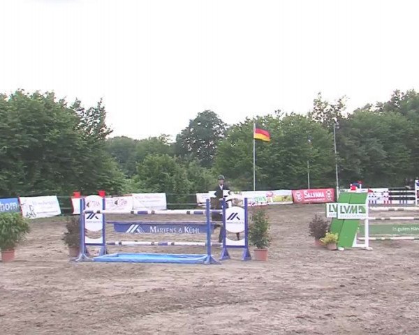 Reitturnier Tangstedt/Pinneberg 2016