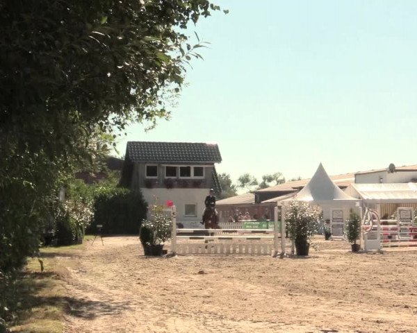 Reitturnier Datteln 2016