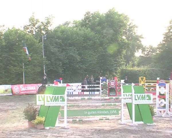 Reitturnier Tangstedt/Pinneberg 2016