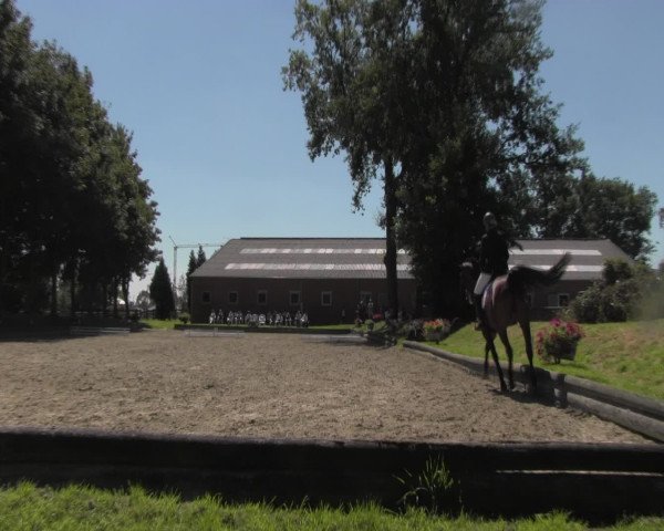 Reitturnier Datteln 2016