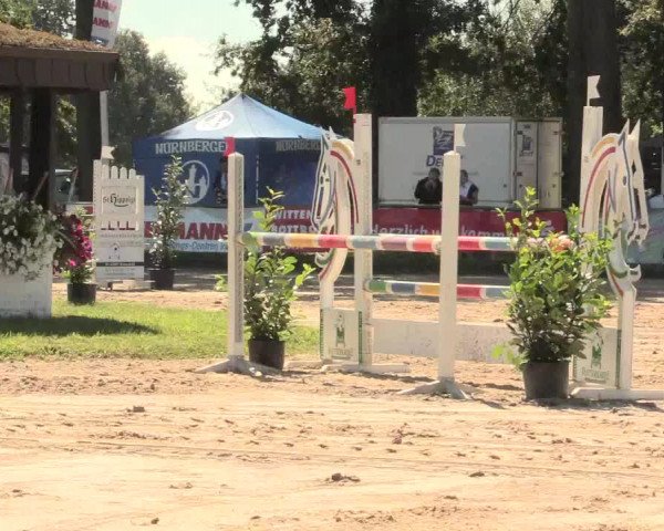 Reitturnier Datteln 2016
