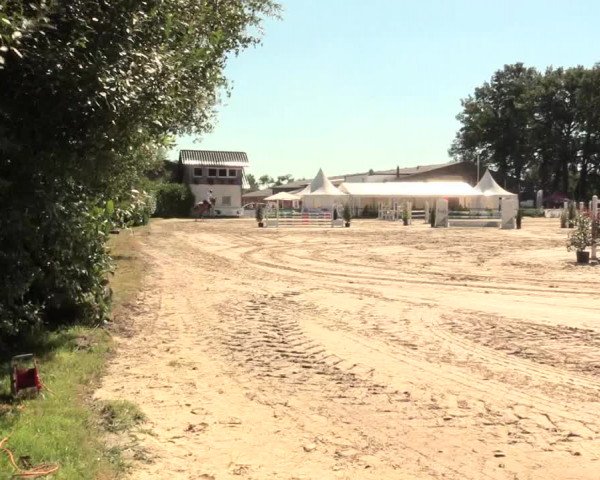 Reitturnier Datteln 2016