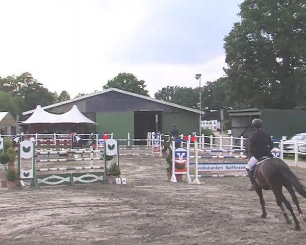 Reitturnier Tangstedt/Pinneberg 2016