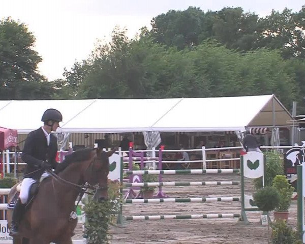 Reitturnier Tangstedt/Pinneberg 2016