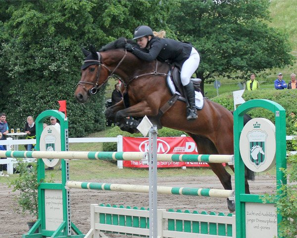 jumper Carthino 4 (Oldenburg show jumper, 2009, from Carthago)