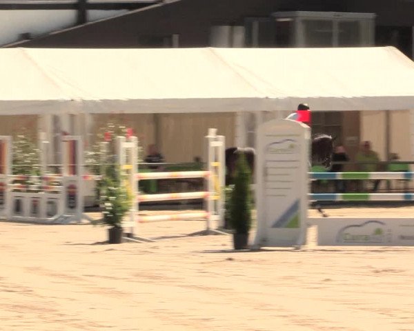 Reitturnier Datteln 2016