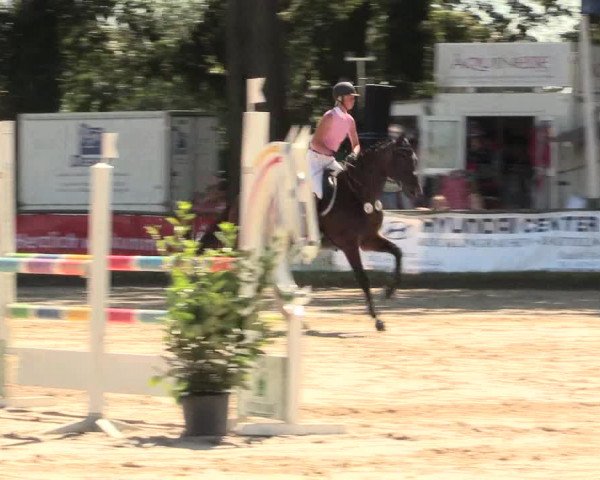 Reitturnier Datteln 2016