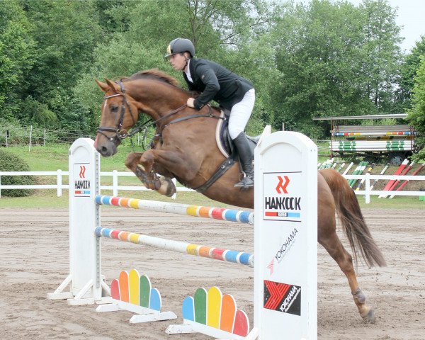 jumper Epson G (Oldenburg show jumper, 2007, from Epsom Gesmeray) jumper Epson G (Oldenburg show jumper, 2007, from Epsom Gesmeray)
