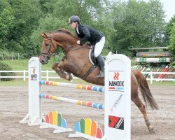 jumper Epson G (Oldenburg show jumper, 2007, from Epsom Gesmeray)