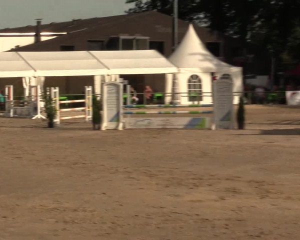 Reitturnier Datteln 2016