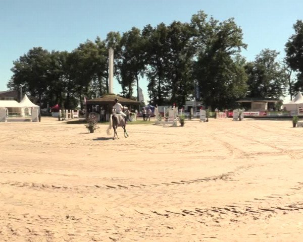Reitturnier Datteln 2016