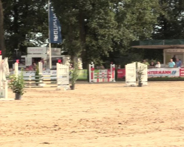 Reitturnier Datteln 2016