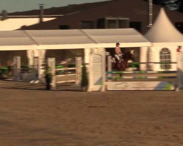 Reitturnier Datteln 2016