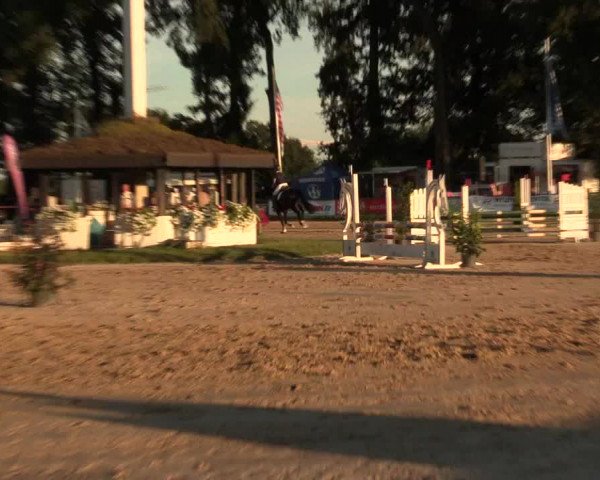 Reitturnier Datteln 2016