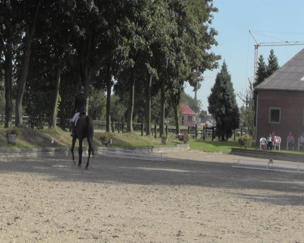 Reitturnier Datteln 2016