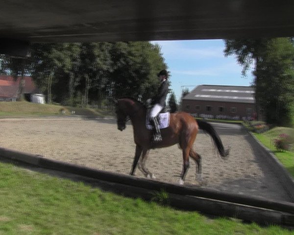 Reitturnier Datteln 2016