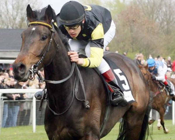 horse Lampone xx (Thoroughbred, 2004, from Tannenkönig xx)
