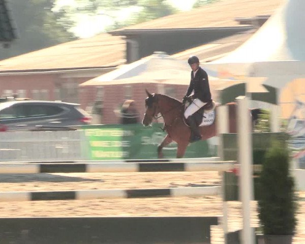 Reitturnier Datteln 2016