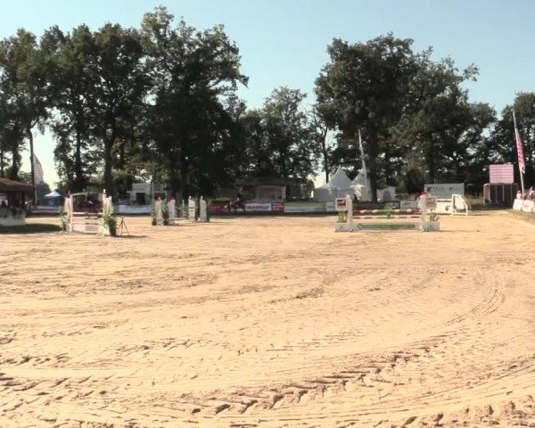 Reitturnier Datteln 2016