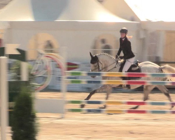 Reitturnier Datteln 2016