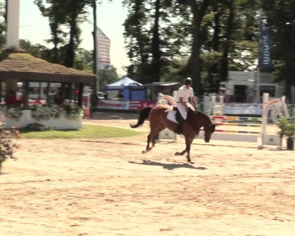 Reitturnier Datteln 2016