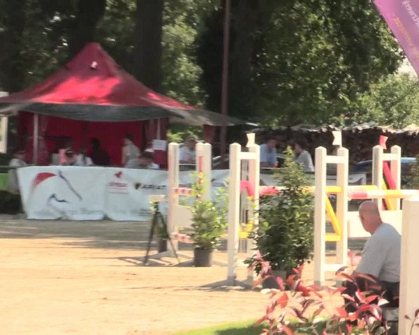 Reitturnier Datteln 2016