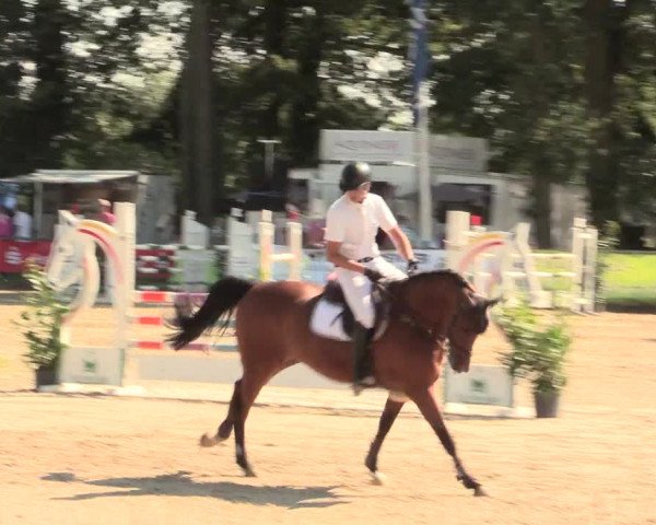 Reitturnier Datteln 2016