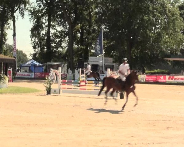 Reitturnier Datteln 2016