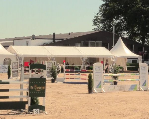 Reitturnier Datteln 2016