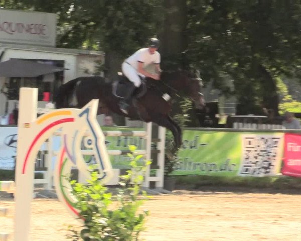 Reitturnier Datteln 2016
