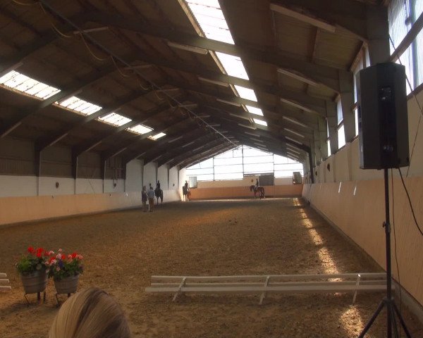 Reitturnier Datteln 2016