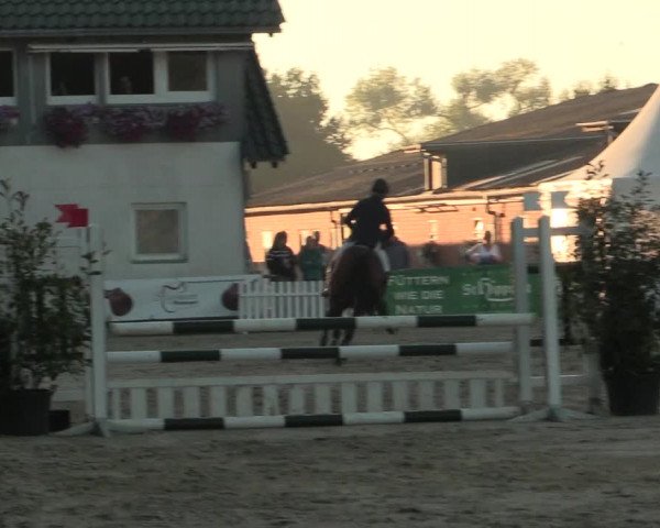 Reitturnier Datteln 2016