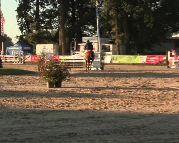 Reitturnier Datteln 2016