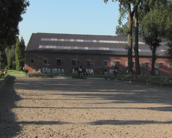 Reitturnier Datteln 2016