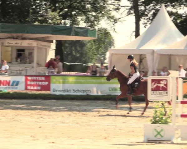 Reitturnier Datteln 2016