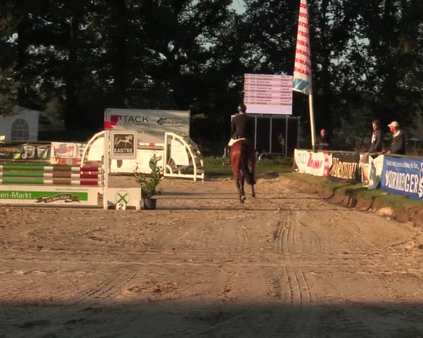 Reitturnier Datteln 2016