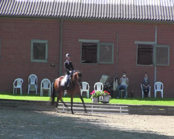 Reitturnier Datteln 2016