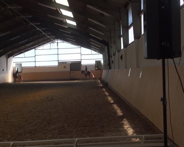 Reitturnier Datteln 2016