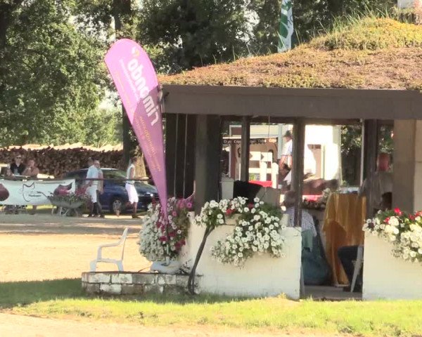 Reitturnier Datteln 2016