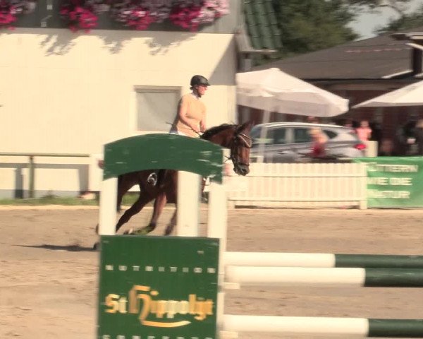 Reitturnier Datteln 2016