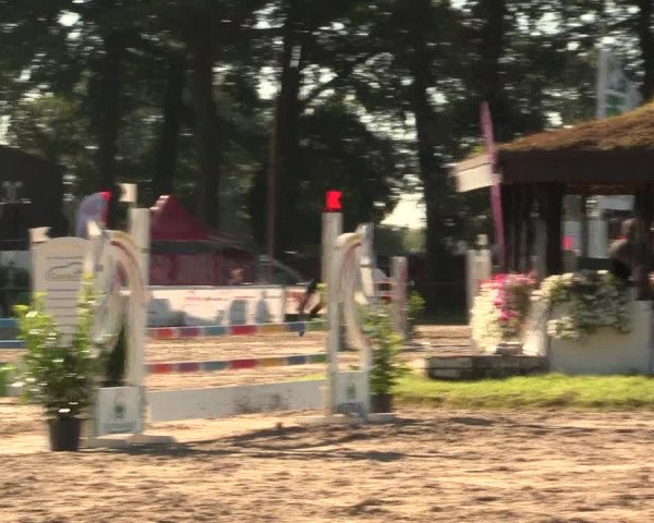 Reitturnier Datteln 2016