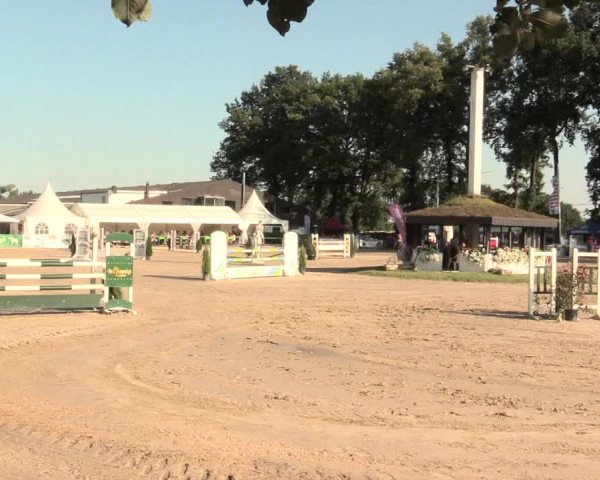 Reitturnier Datteln 2016