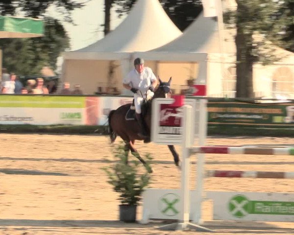 Reitturnier Datteln 2016
