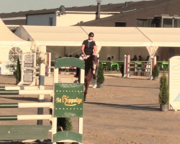 Reitturnier Datteln 2016