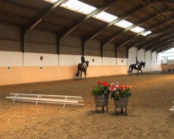 Reitturnier Datteln 2016