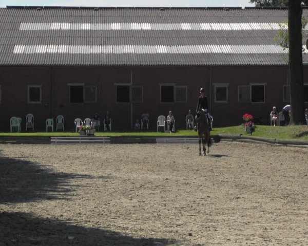 Reitturnier Datteln 2016