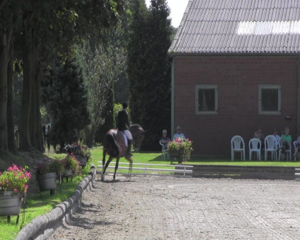 Reitturnier Datteln 2016