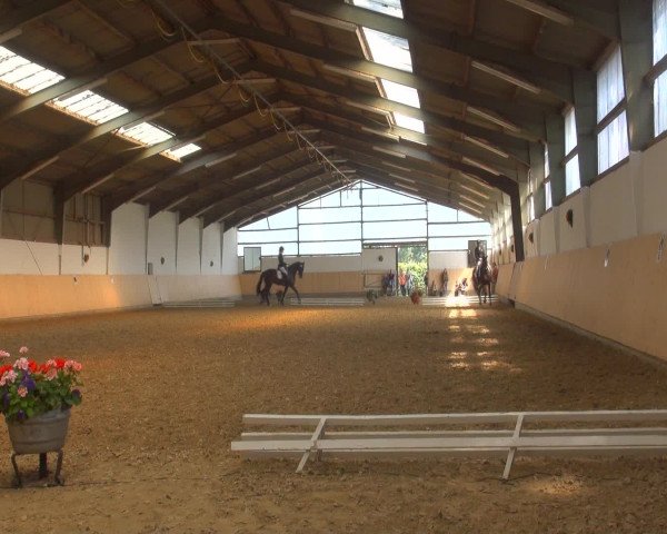 Reitturnier Datteln 2016
